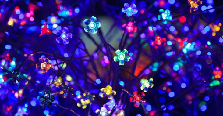 Économie d'énergie et style contemporain avec l'éclairage LED