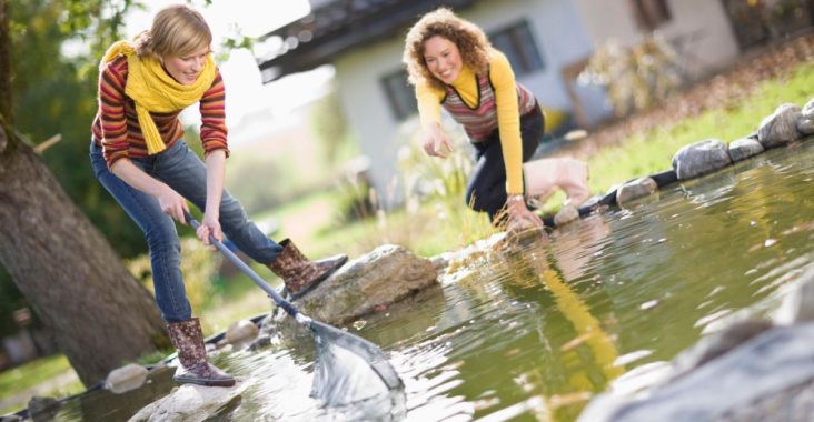 1-La mise en hivernage de votre bassin de jardin