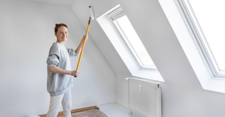 9-Comment camoufler une lucarne pour préserver l'harmonie extérieure