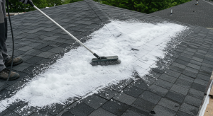 illustration_demoussage_toiture