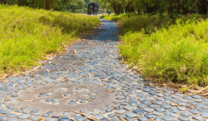 illustration_chemin_acces_en_cailloux