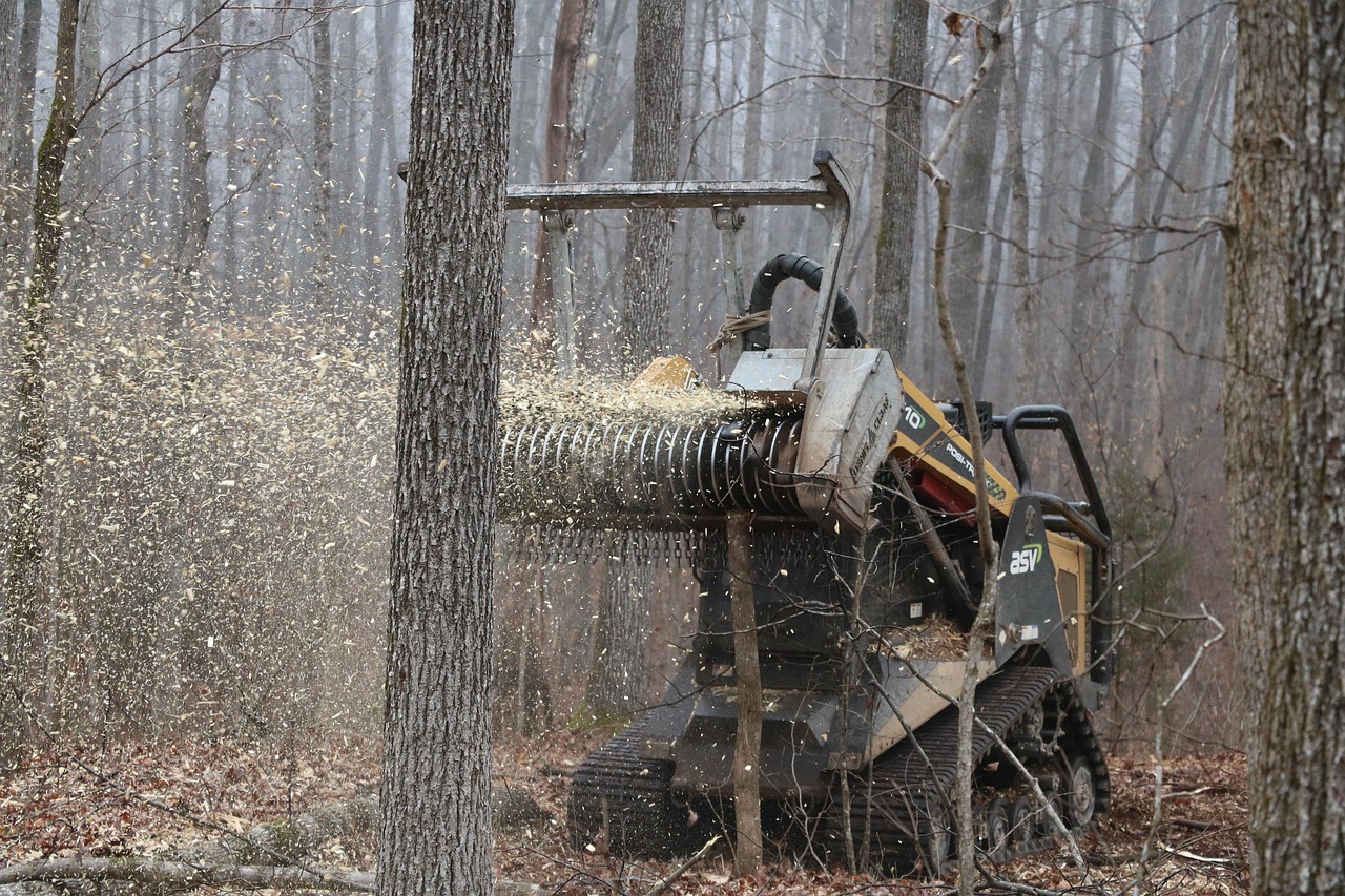 découvrez notre débroussailleuse robuste et efficace, idéale pour entretenir vos jardins et espaces verts avec facilité.