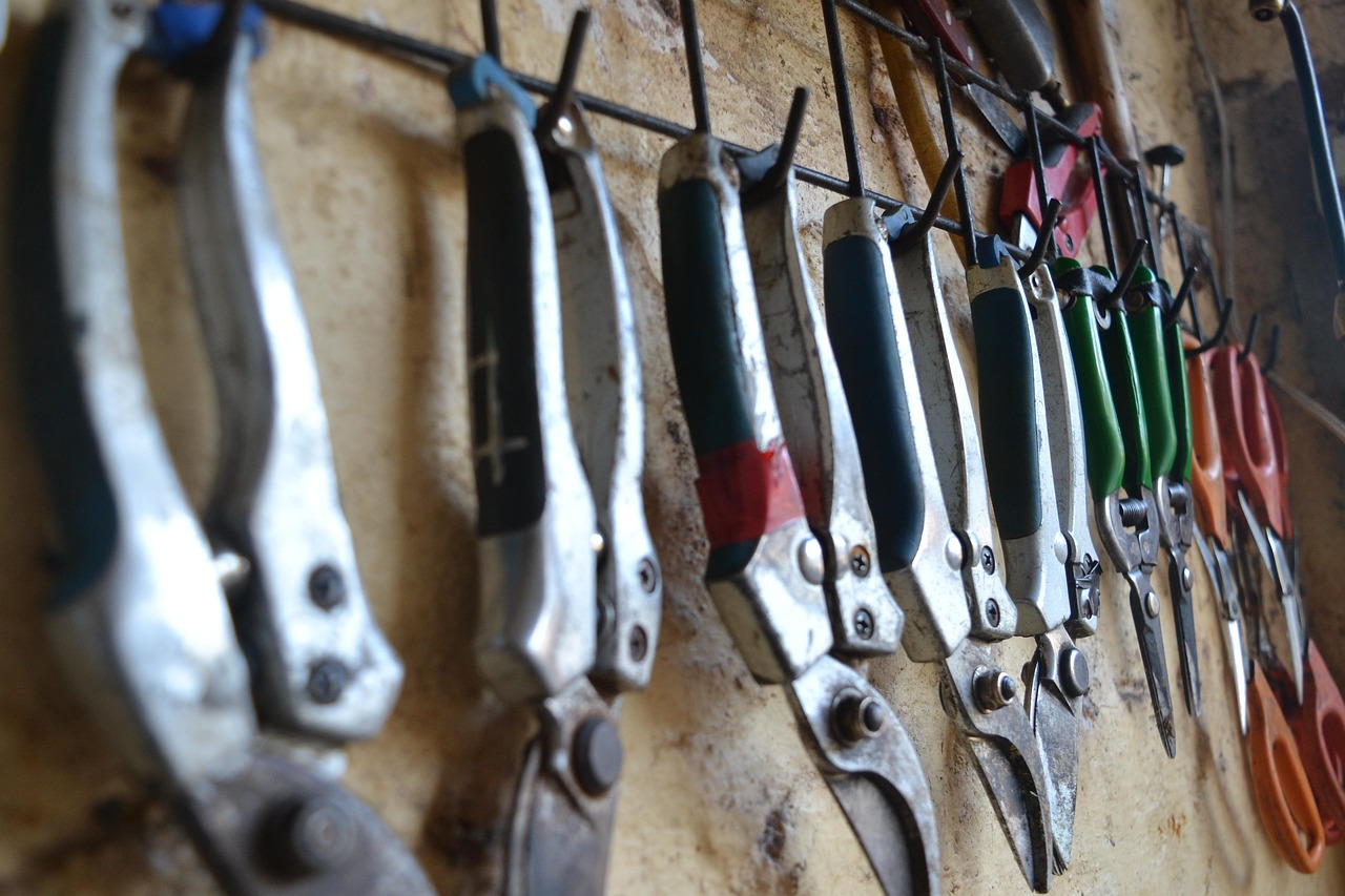 découvrez notre sélection d'outils de taille professionnels pour entretenir vos arbres et arbustes avec précision et facilité.