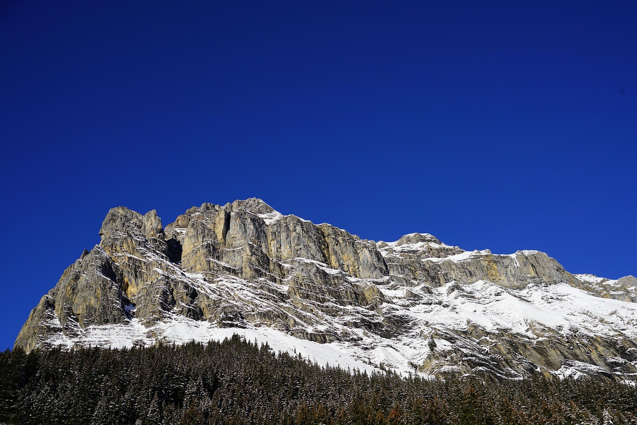découvrez notre sélection de roches ornementales massives, idéales pour sublimer vos jardins et espaces paysagers avec robustesse et élégance.