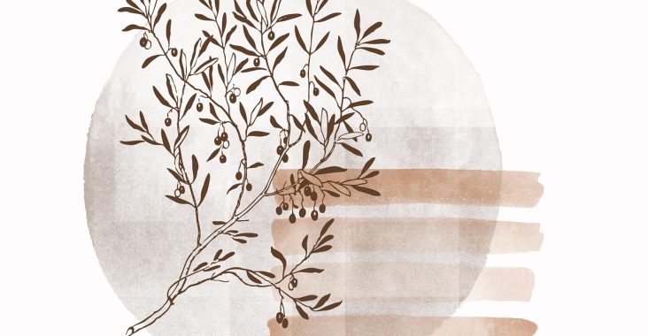 apportez une touche bohème à votre intérieur avec une décoration murale chaleureuse, originale et inspirée des matières naturelles.