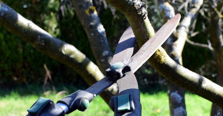 service d’élagage d’urgence pour sécuriser vos arbres après une tempête, retirer les branches dangereuses et protéger votre propriété.