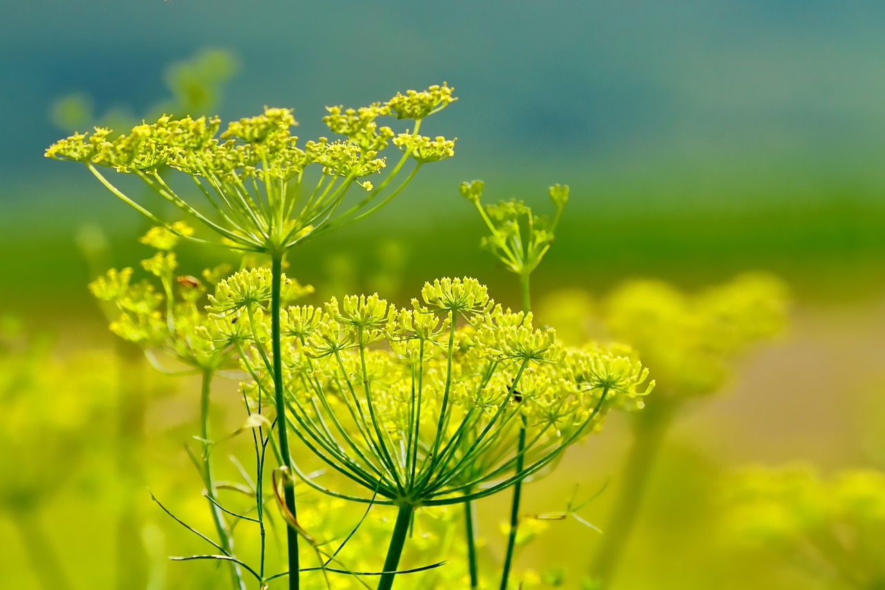 découvrez les gestes essentiels pour entretenir un jardin de plantes vivaces : taille, arrosage, division et soins saisonniers pour des massifs florissants.